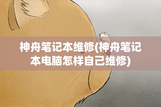 神舟笔记本维修(神舟笔记本电脑怎样自己维修)