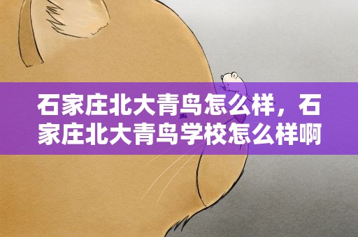石家庄北大青鸟怎么样，石家庄北大青鸟学校怎么样啊