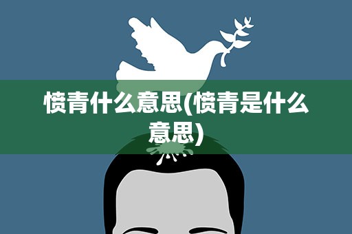 愤青什么意思(愤青是什么意思)