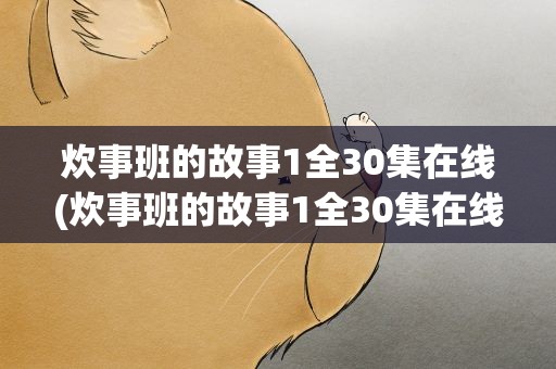 炊事班的故事1全30集在线(炊事班的故事1全30集在线看)