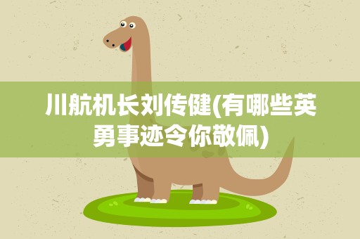 川航机长刘传健(有哪些英勇事迹令你敬佩)