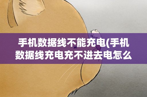 手机数据线不能充电(手机数据线充电充不进去电怎么回事)