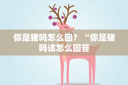 你是猪吗怎么回？“你是猪吗该怎么回答