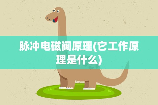 脉冲电磁阀原理(它工作原理是什么)