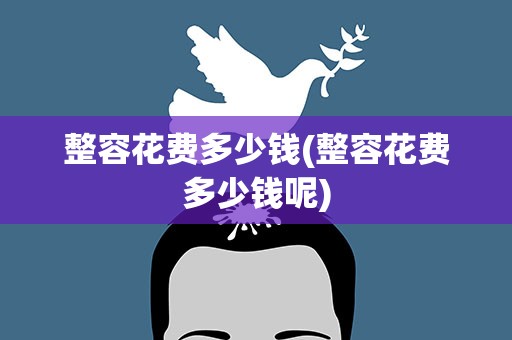 整容花费多少钱(整容花费多少钱呢)