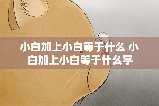 小白加上小白等于什么 小白加上小白等于什么字