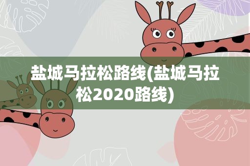 盐城马拉松路线(盐城马拉松2020路线)