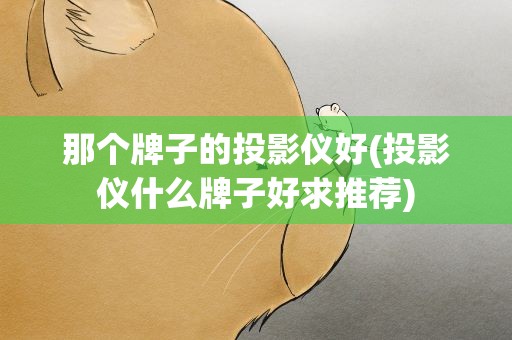那个牌子的投影仪好(投影仪什么牌子好求推荐)