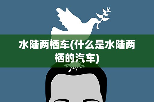 水陆两栖车(什么是水陆两栖的汽车)