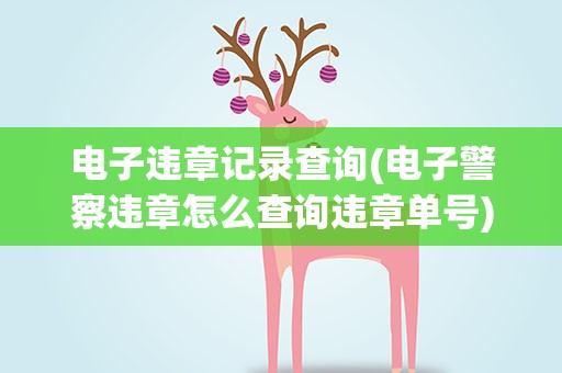 电子违章记录查询(电子警察违章怎么查询违章单号)