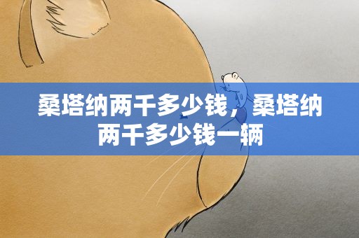 桑塔纳两千多少钱，桑塔纳两千多少钱一辆