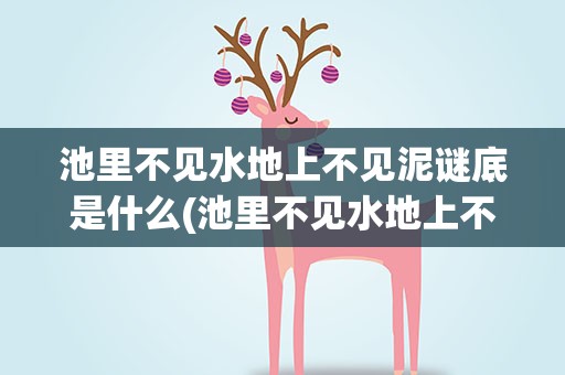 池里不见水地上不见泥谜底是什么(池里不见水地上不见泥什么字)