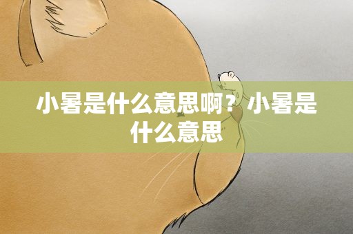 小暑是什么意思啊？小暑是什么意思