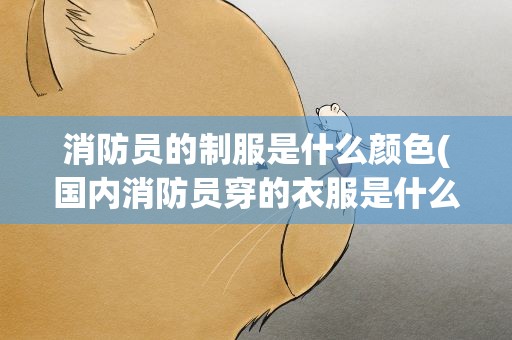 消防员的制服是什么颜色(国内消防员穿的衣服是什么颜色的)