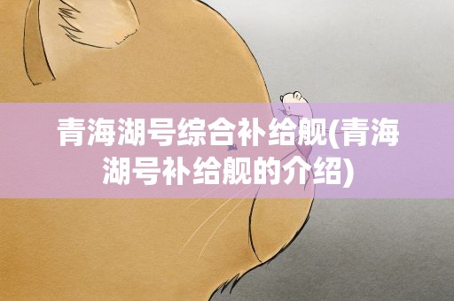 青海湖号综合补给舰(青海湖号补给舰的介绍)