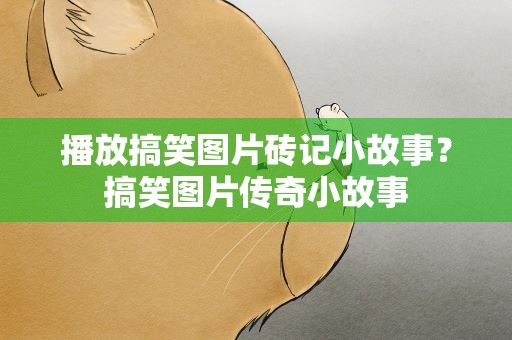 播放搞笑图片砖记小故事？搞笑图片传奇小故事