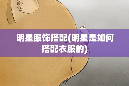 明星服饰搭配(明星是如何搭配衣服的)