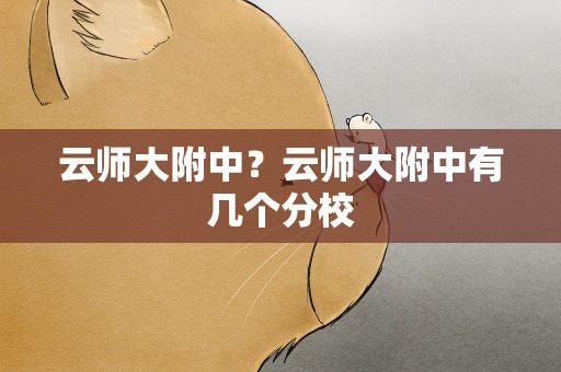 云师大附中？云师大附中有几个分校