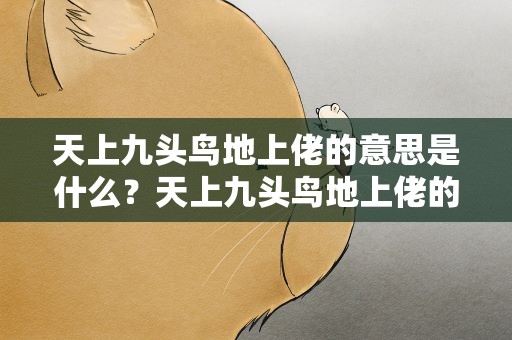 天上九头鸟地上佬的意思是什么？天上九头鸟地上佬的意思是什么生肖