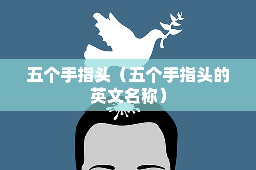 五个手指头（五个手指头的英文名称）