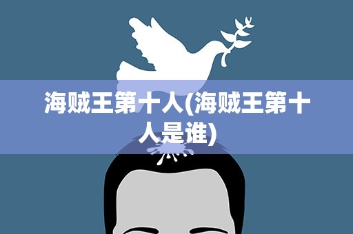 海贼王第十人(海贼王第十人是谁)