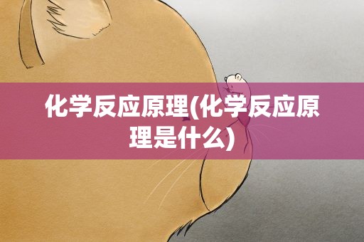 化学反应原理(化学反应原理是什么)