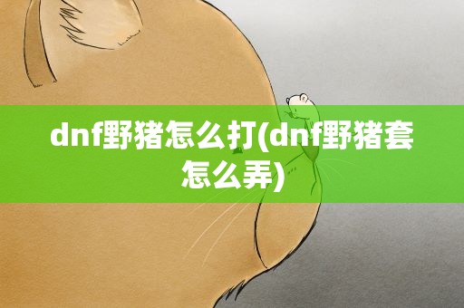 dnf野猪怎么打(dnf野猪套怎么弄)