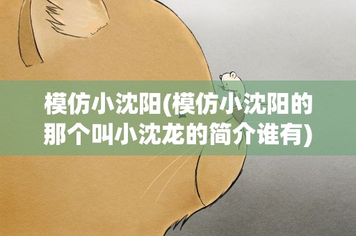 模仿小沈阳(模仿小沈阳的那个叫小沈龙的简介谁有)