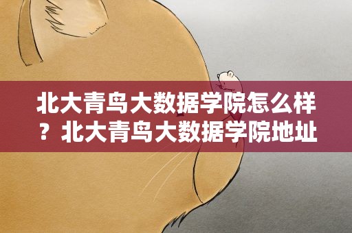 北大青鸟大数据学院怎么样？北大青鸟大数据学院地址