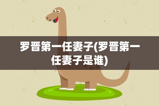 罗晋第一任妻子(罗晋第一任妻子是谁)