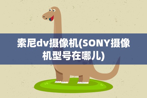 索尼dv摄像机(SONY摄像机型号在哪儿)