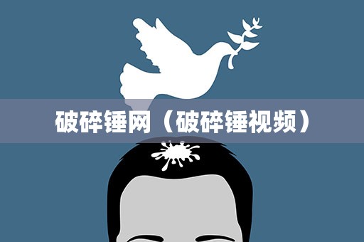 破碎锤网（破碎锤视频）