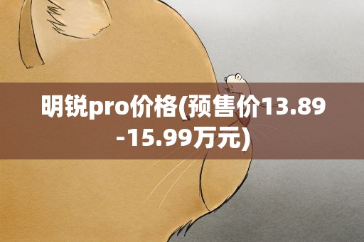 明锐pro价格(预售价13.89-15.99万元)