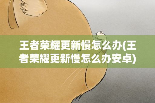王者荣耀更新慢怎么办(王者荣耀更新慢怎么办安卓)