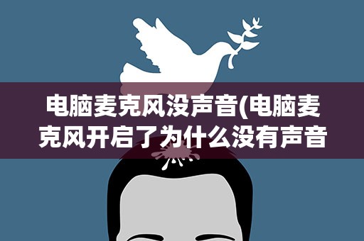 电脑麦克风没声音(电脑麦克风开启了为什么没有声音)