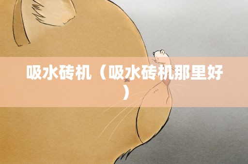 吸水砖机（吸水砖机那里好）