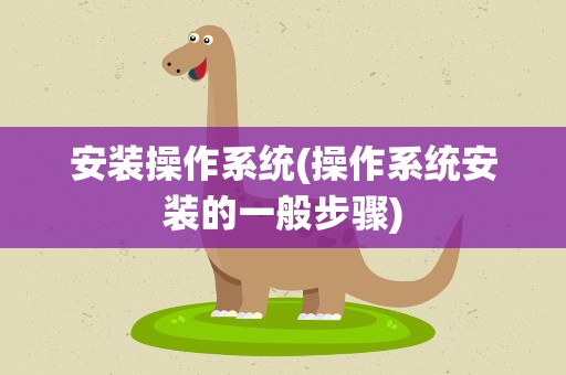 安装操作系统(操作系统安装的一般步骤)