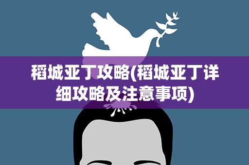 稻城亚丁攻略(稻城亚丁详细攻略及注意事项)