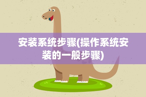 安装系统步骤(操作系统安装的一般步骤)