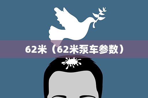 62米（62米泵车参数）