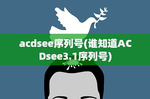 acdsee序列号(谁知道ACDsee3.1序列号)