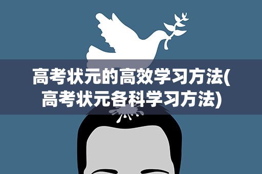 高考状元的高效学习方法(高考状元各科学习方法)