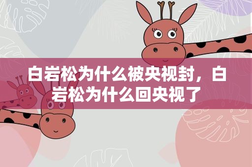 白岩松为什么被央视封，白岩松为什么回央视了