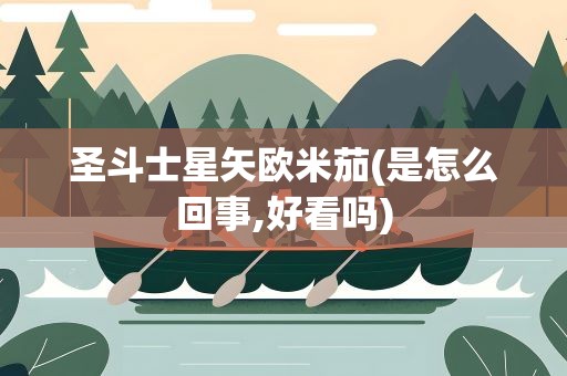 圣斗士星矢欧米茄(是怎么回事,好看吗)