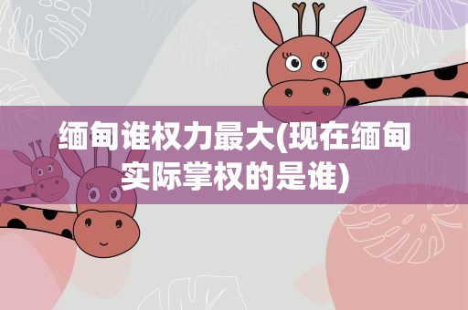 缅甸谁权力最大(现在缅甸实际掌权的是谁)
