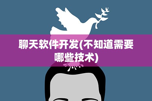 聊天软件开发(不知道需要哪些技术)