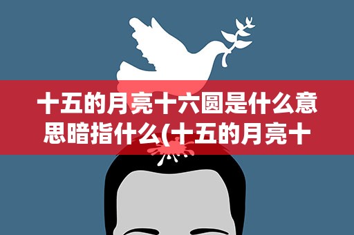 十五的月亮十六圆是什么意思暗指什么(十五的月亮十六圆是什么意思暗指什么生肖)