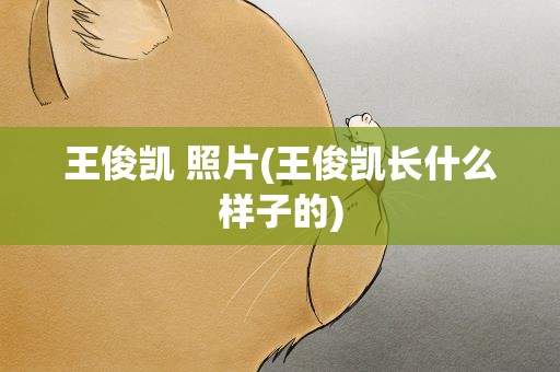 王俊凯 照片(王俊凯长什么样子的)
