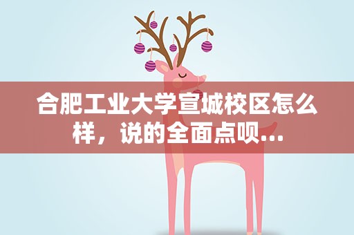 合肥工业大学宣城校区怎么样，说的全面点呗…