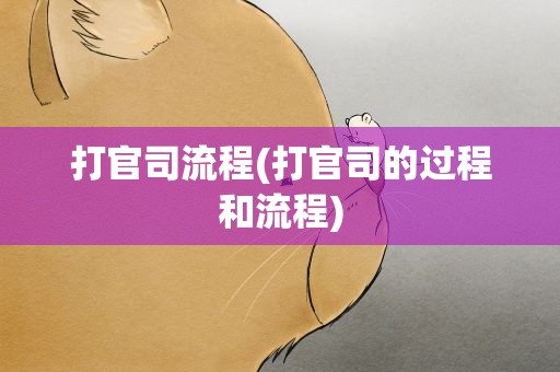 打官司流程(打官司的过程和流程)